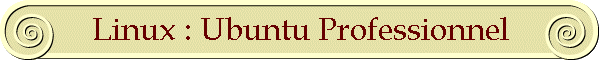 Linux : Ubuntu Professionnel