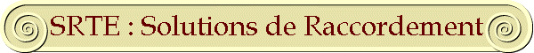 SRTE : Solutions de Raccordement